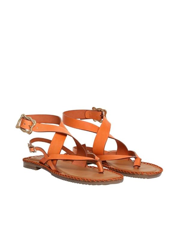 Horizonthreads.shopf207dfa03b 3